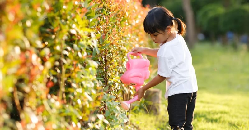 Winter Gardens Teach Kids Water Conservation - Image 5