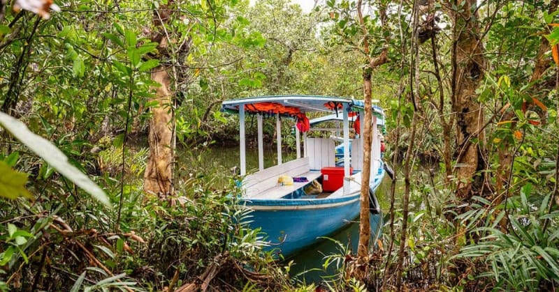 8 Indian Sites Where Kids Learn Nature's Best Lessons - Image 5