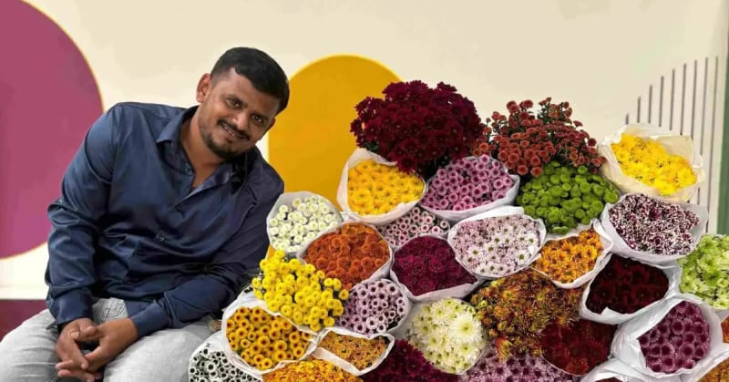 Bengaluru Flower Farmer Earns $8K/Month Growing Chrysanthemums - Image 3