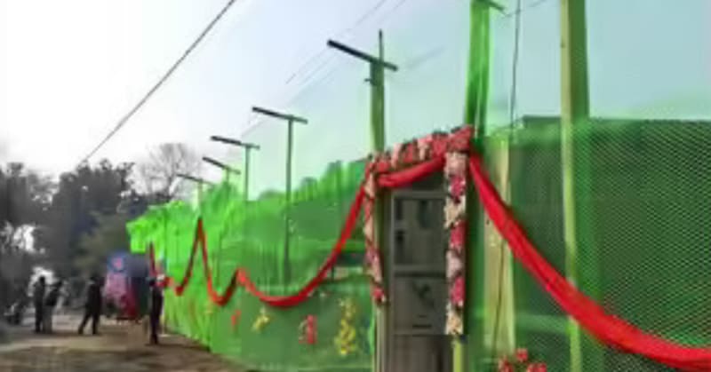 Village Builds Tiger-Proof Homes Near Wildlife Sanctuary