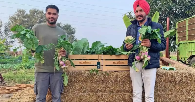 Google Engineer Quits Dublin Job for Organic Farm in Punjab