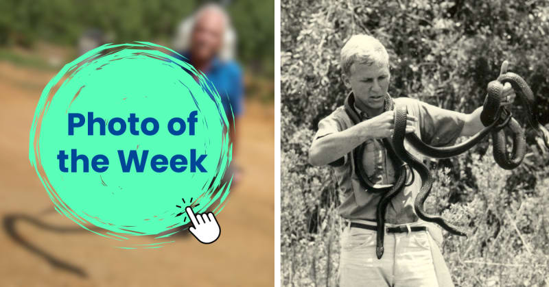 India's 'Snake Man' Turned Fear Into Understanding