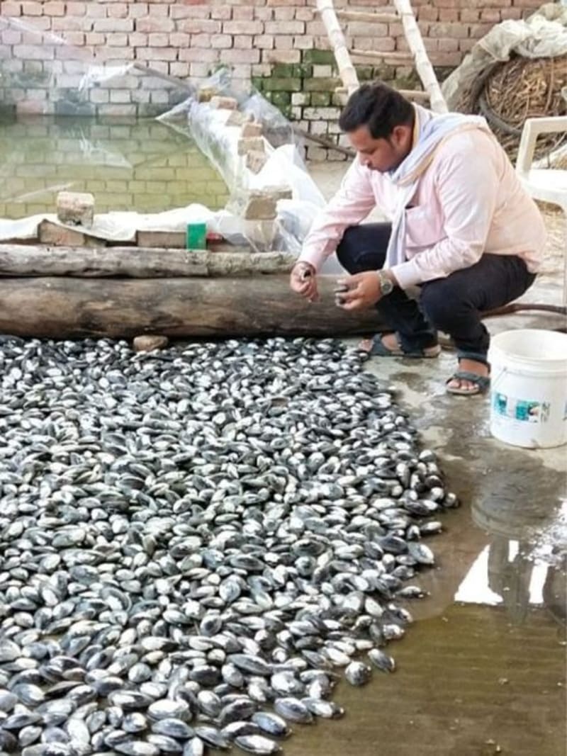 3 Brothers Left Corporate Jobs, Trained 2,000 Farmers