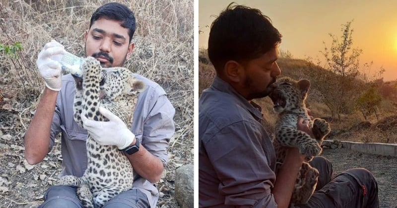 India Wildlife Center Has Saved 40,000 Animals Since 1999