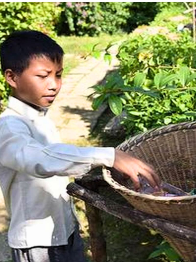 India's Cleanest Village: Born From Tragedy to Inspiration