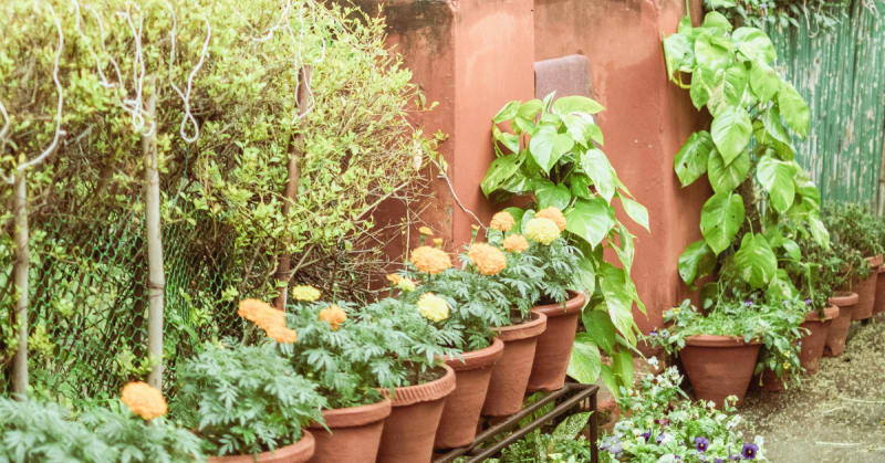 Kids Turn Winter Gardens Into Creative Playgrounds