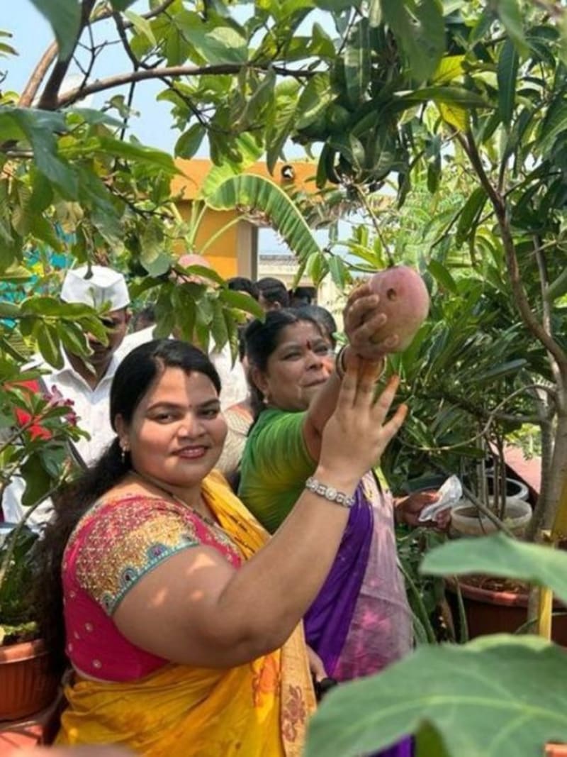 Woman Grows Mangoes & Oranges on Rooftop, Shares Recipe