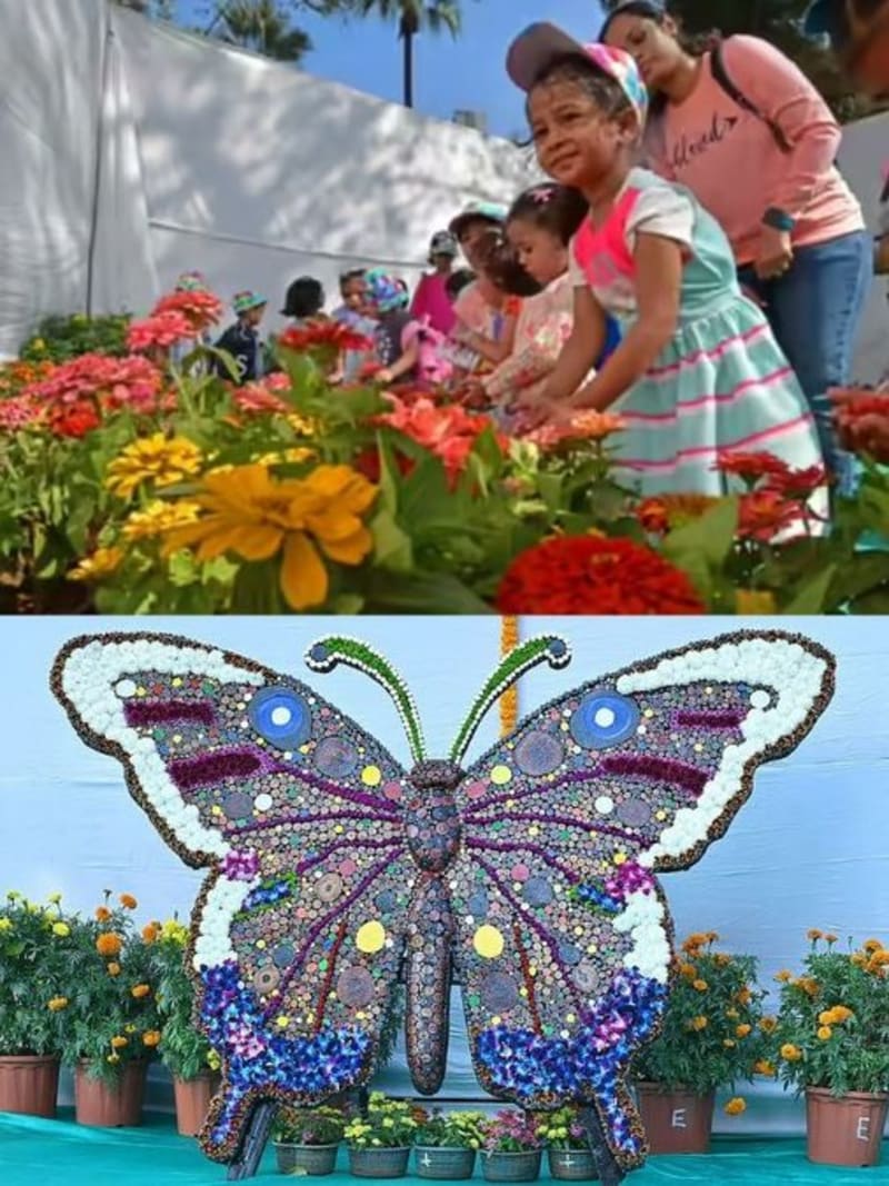 India's 7 Must-See Flower Festivals Bloom This Spring