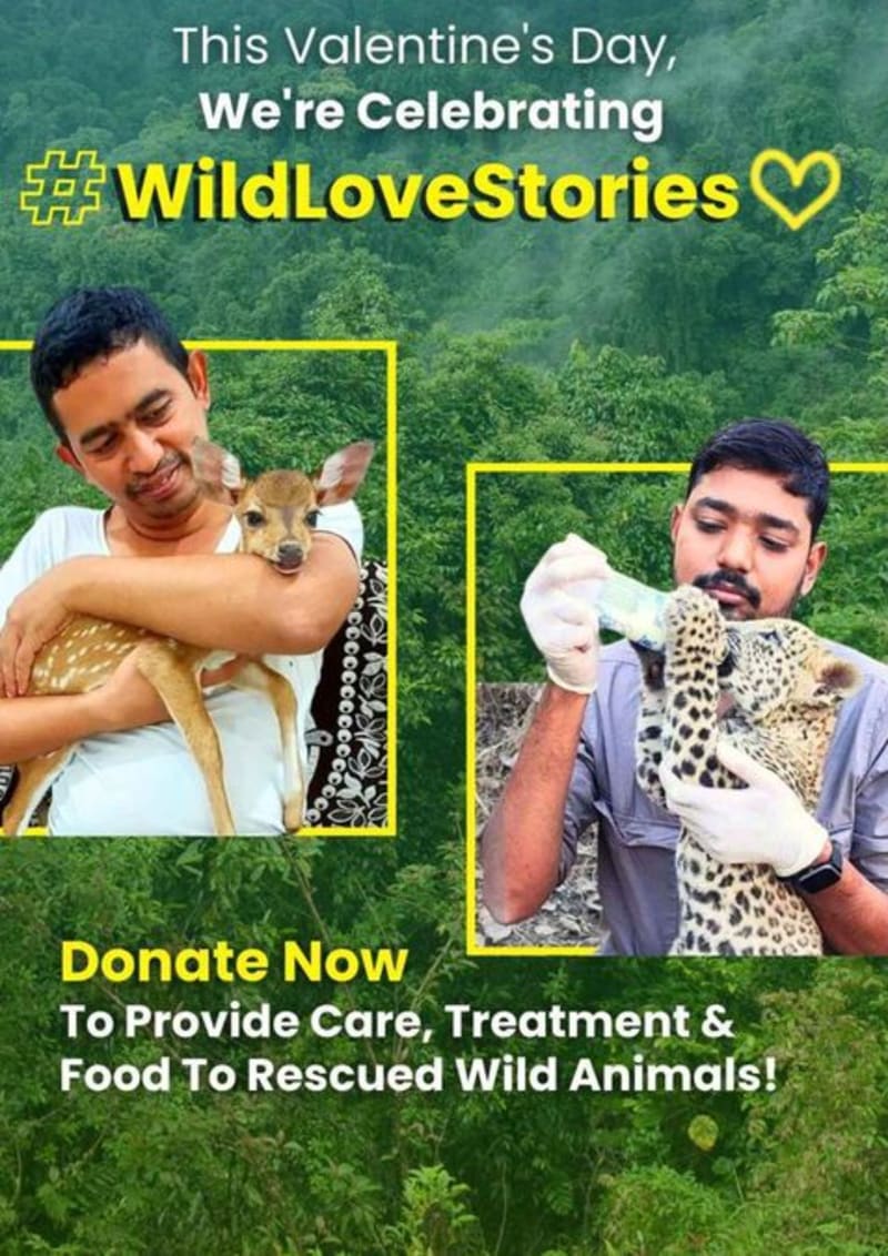 Indian Wildlife Center Saved 40,000 Animals Since 1999
