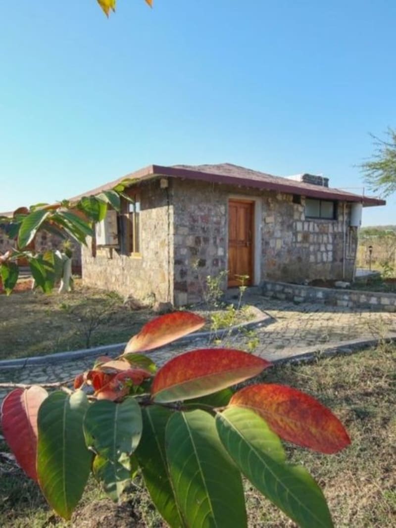 Couple Turns Barren Land Into Wildlife Haven With 700 Trees