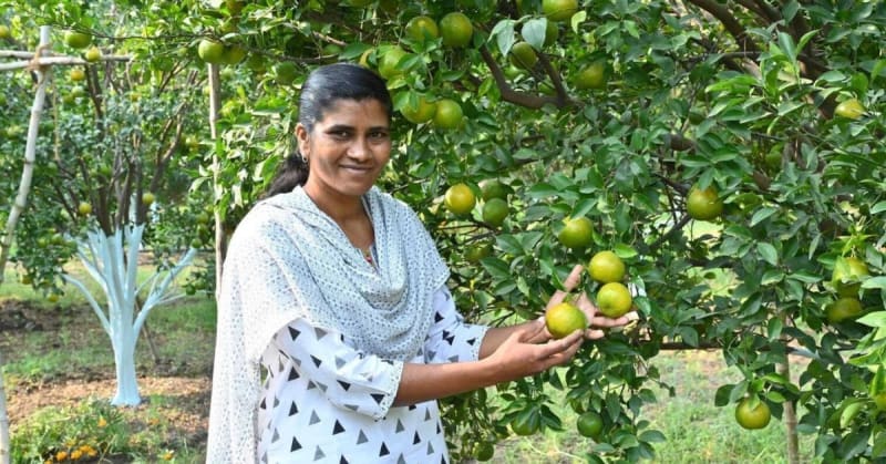 Woman Farmer Earns $8,400 From 1 Acre of Orange Trees