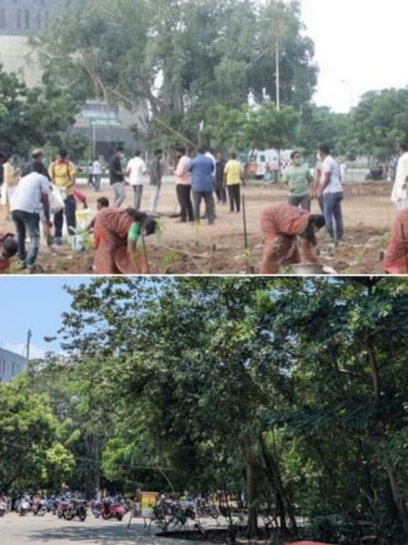 Chennai Man Builds 40 Urban Forests in India's Hottest Cities