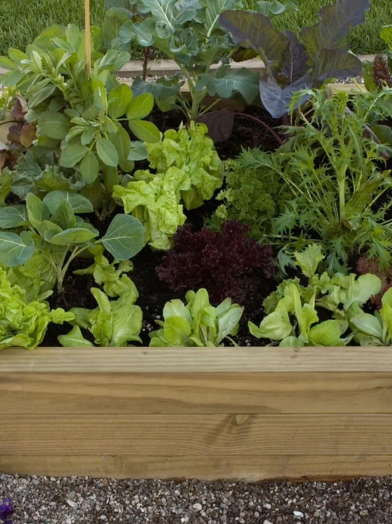 Turn Your Terrace Into a Food Garden With Wooden Crates