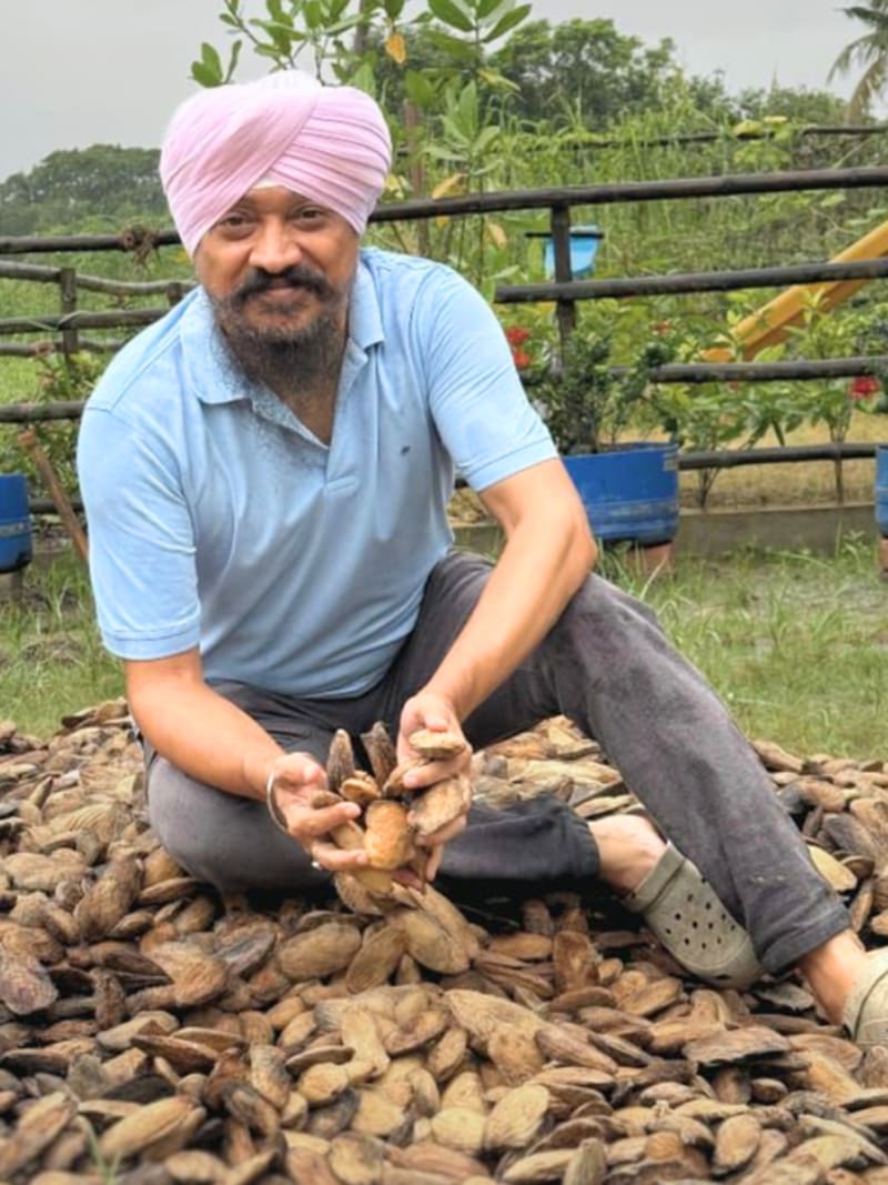 Doctor Turns 2.1M Mango Seeds Into Free Trees for Farmers