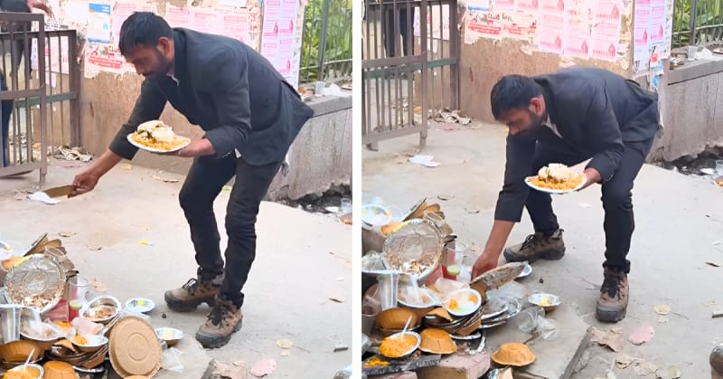 UPSC Student Feeds Delhi's Strays With Leftover Food