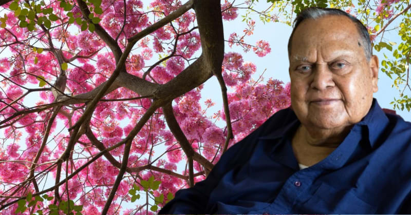 How One Officer Planted 1.5 Million Trees in Bengaluru