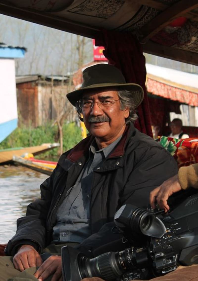 Whale shark swimming peacefully in ocean waters off Gujarat coast India