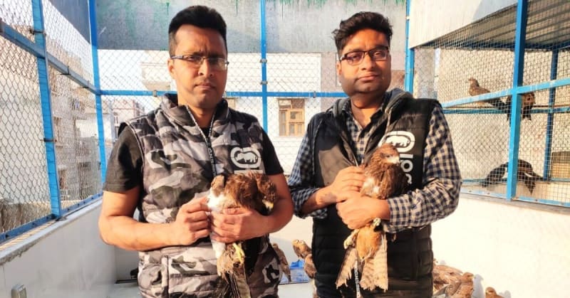 Delhi Brothers Rescue 23,000+ Birds From Deadly Kite Strings