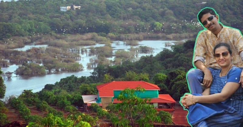 Farmer Turns 40 Acres Into Mango Paradise With 2,000 Trees