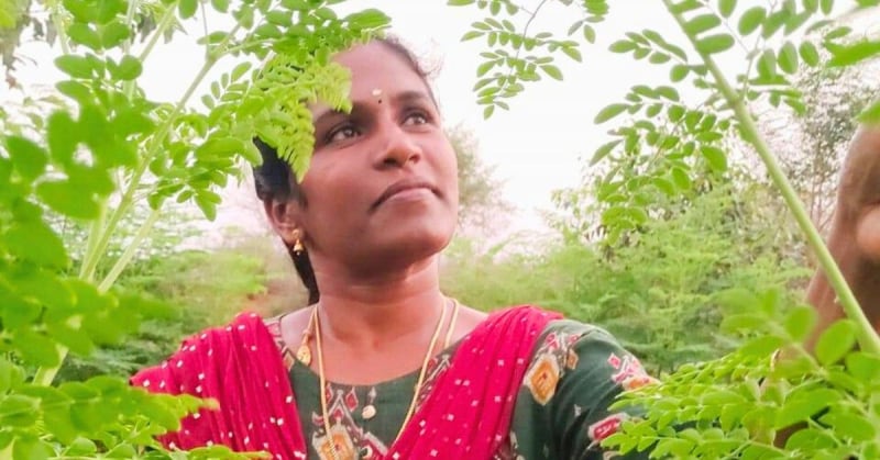 School Dropout Earns $14K Yearly Growing Moringa in India