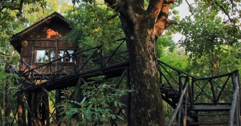 India's 10 Treehouse Retreats Blend Eco-Luxury With Nature