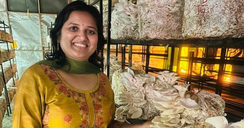 Professor Earns $5K Monthly Growing Mushrooms From Farm Waste - Image 2