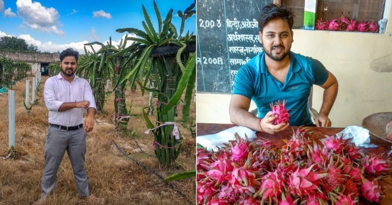 Techie Quits City Job, Earns $24K Yearly From Dragon Fruit - Image 2