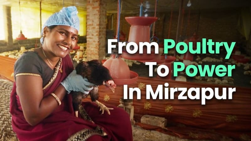Mirzapur Woman Turns Poultry Farm Into Village Economy