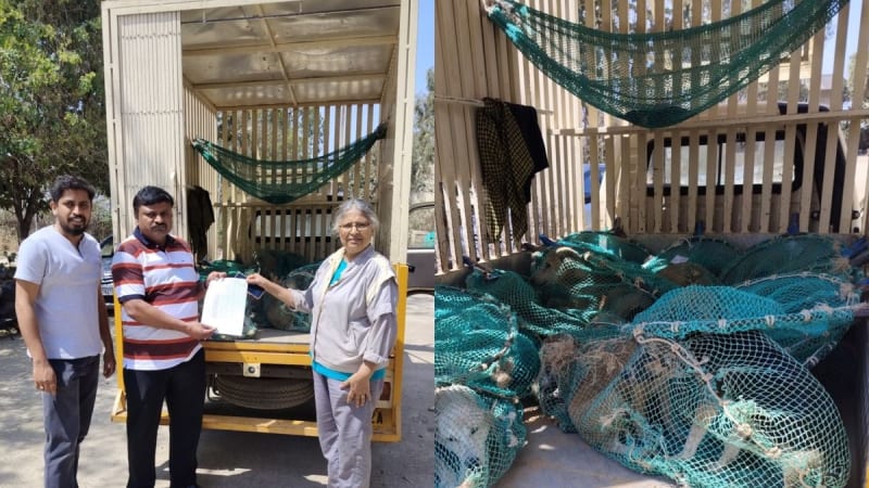 Woman Adopts 20 Stray Dogs in Bengaluru at Once