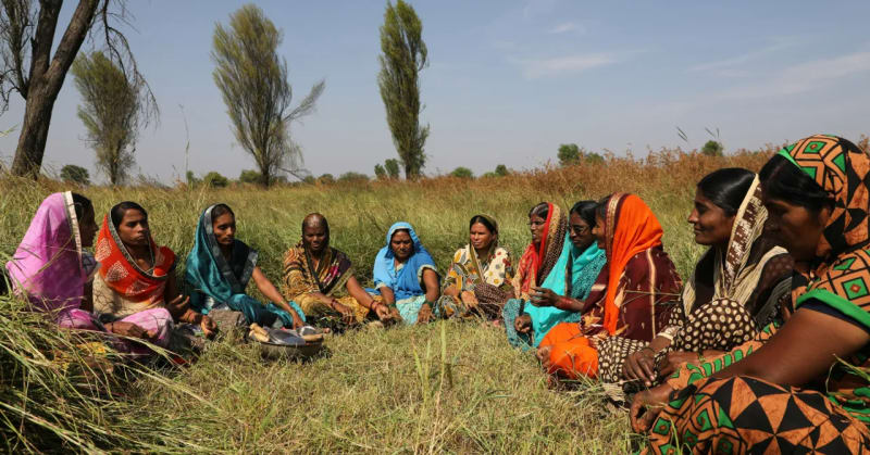 India Budget 2026 Boosts Farmer Income with New Crop Focus - Image 2