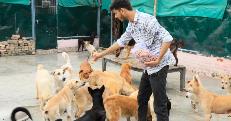 24-Year-Old Runs Delhi Shelter for 200 Rescued Animals - Image 2