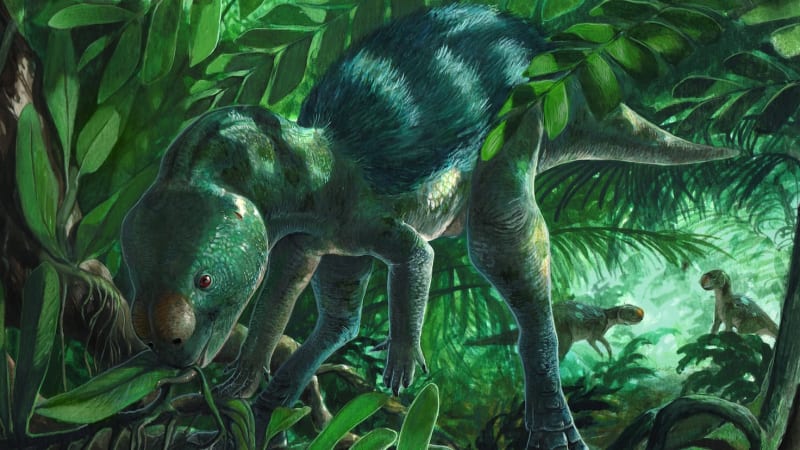 Spain Discovers World's Smallest Ornithopod Dinosaur