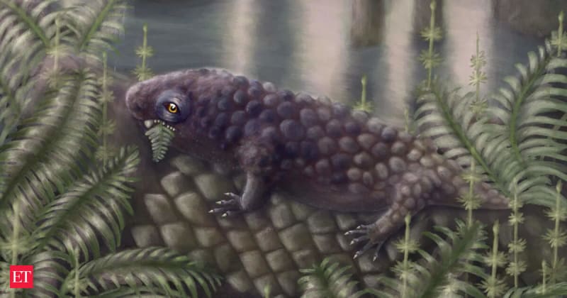 Artist rendering of small lizard-like Tyrannoroter heberti with specialized grinding teeth from Carboniferous Period