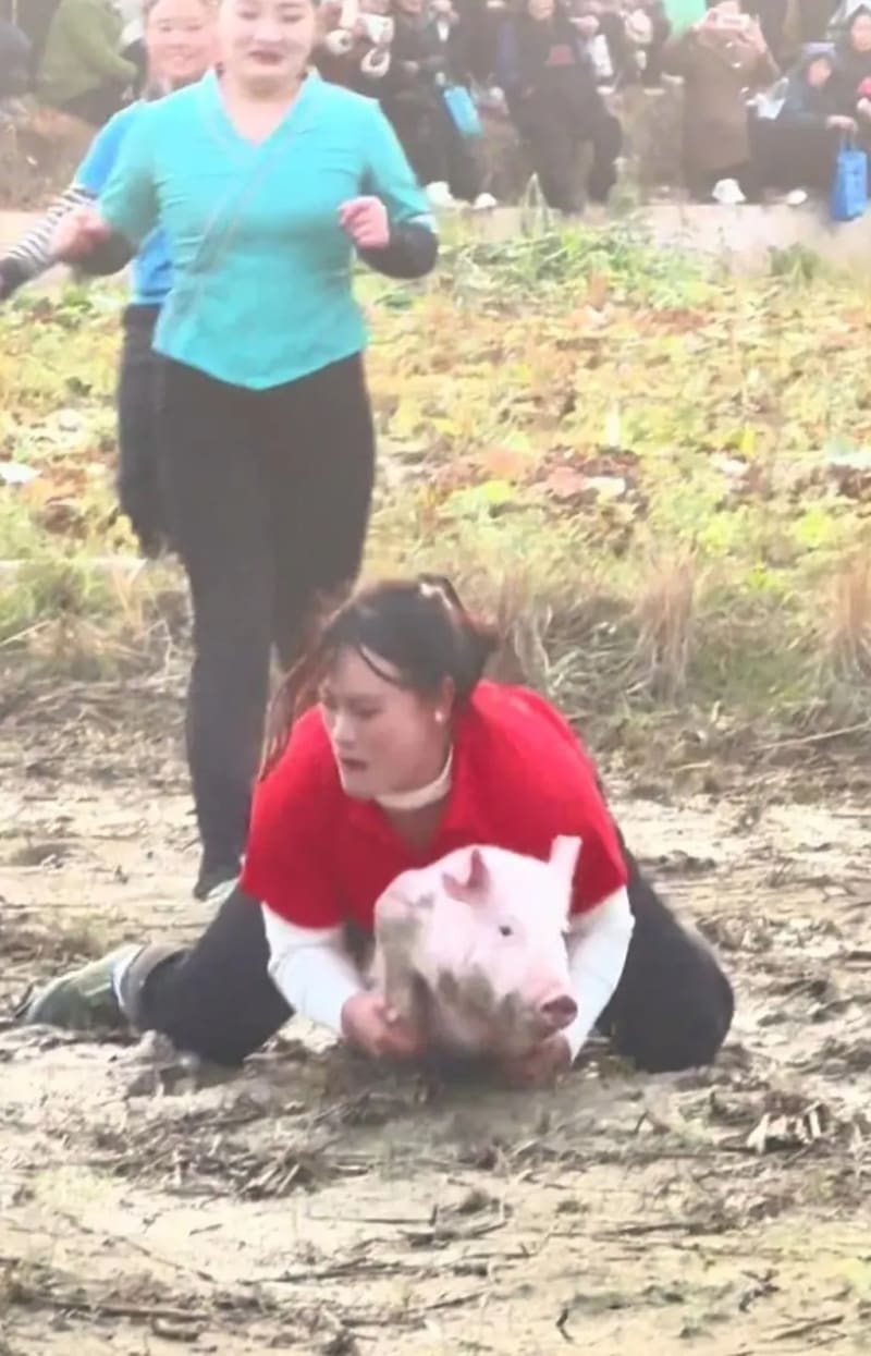 Champion Athlete Turns Rural Competition into Thriving Farm Business - Image 5