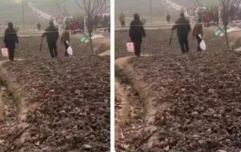 Woman's Viral Pig Feast Draws 1,000 Guests, 2M Followers - Image 3
