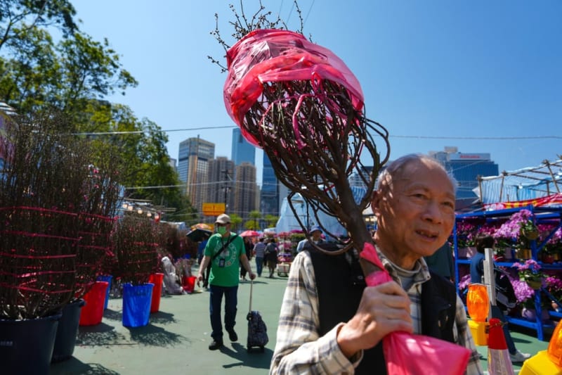 Hong Kong Lunar New Year Fair Sees 50% Visitor Surge - Image 3