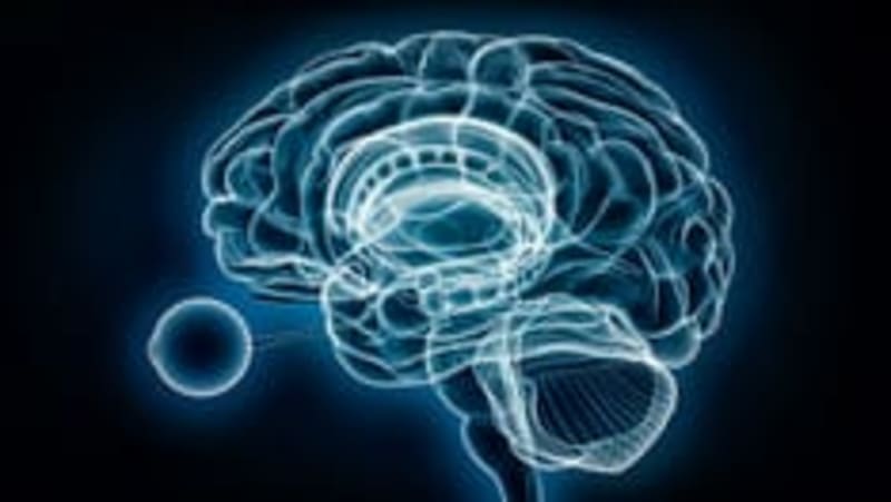 New Drug Cuts Relapse Risk 74% in Rare Eye Disease - Image 2