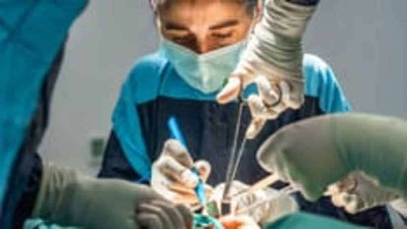 Hospital Patients Cut 45% of Plastic With Reusable Bags - Image 3