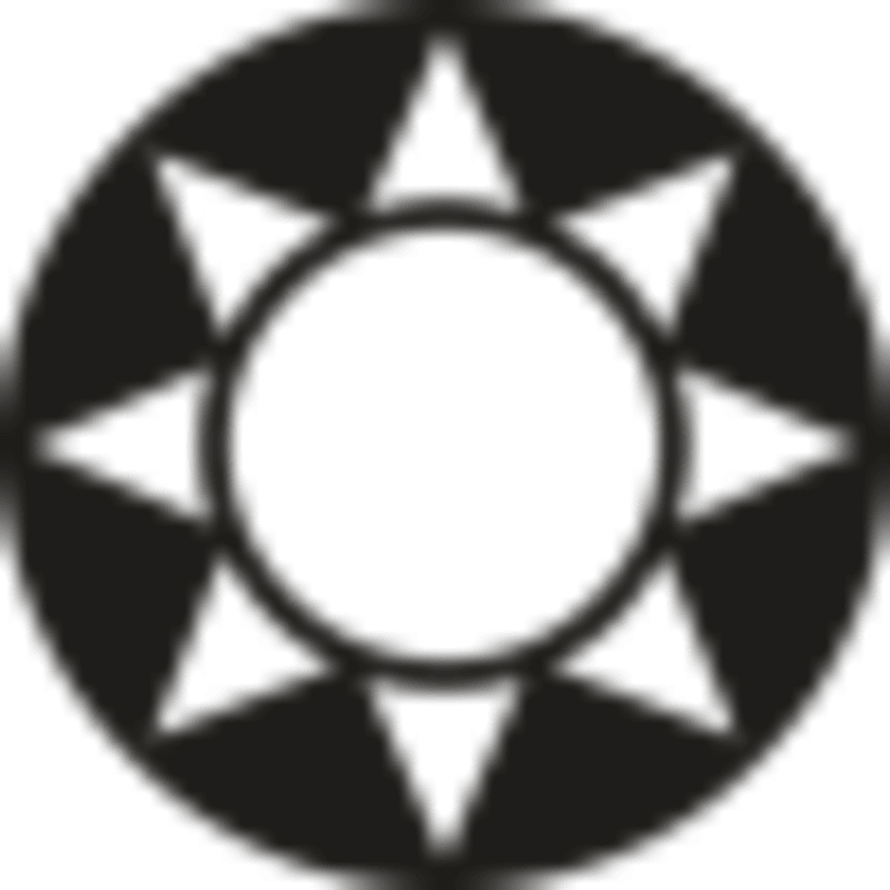 Desert Beetle Defies Physics: Cools Down While Running - Image 2