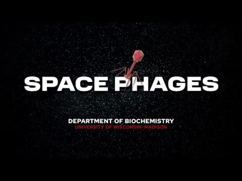 Space Viruses Could Fight Drug-Resistant Infections on Earth - Image 3