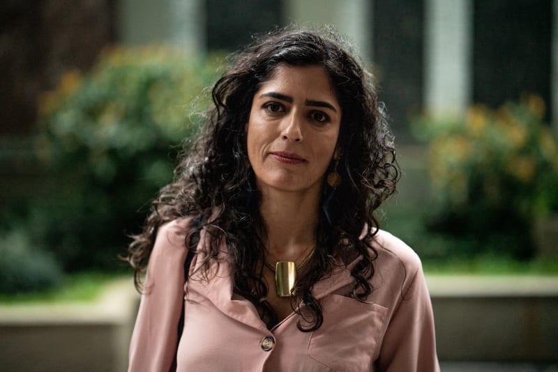 Rio de Janeiro Bans Shark Meat in 1,200 State Schools - Image 3