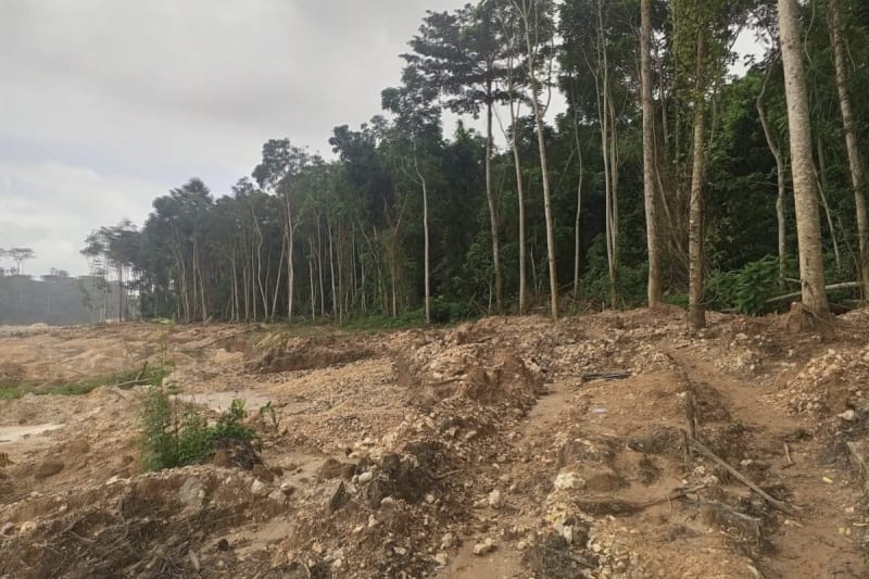 Ghana Bans Mining in Forest Reserves After Mass Campaign - Image 2