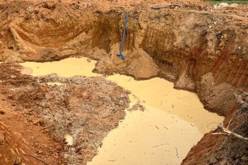 Ghana Bans Mining in Forest Reserves After Mass Campaign - Image 5