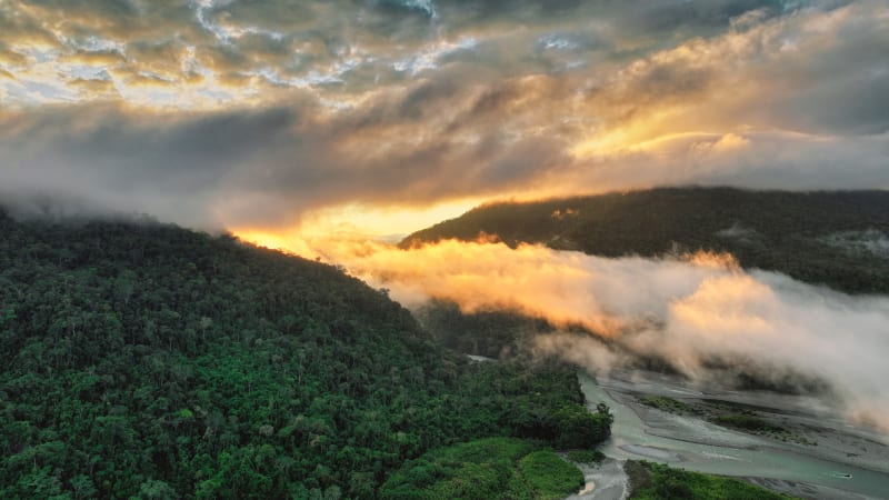 Amazon Rainforest Generates $10B in Rainfall Every Year - Image 3