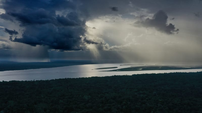 Amazon Rainforest Generates $10B in Rainfall Every Year - Image 5