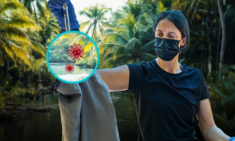 Scientists Track Monarchs With Tiny Radio Tags - Image 5