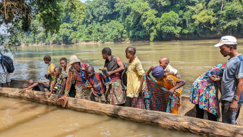 $2.5 Billion Pledge Aims to Save Congo Basin Rainforest - Image 5