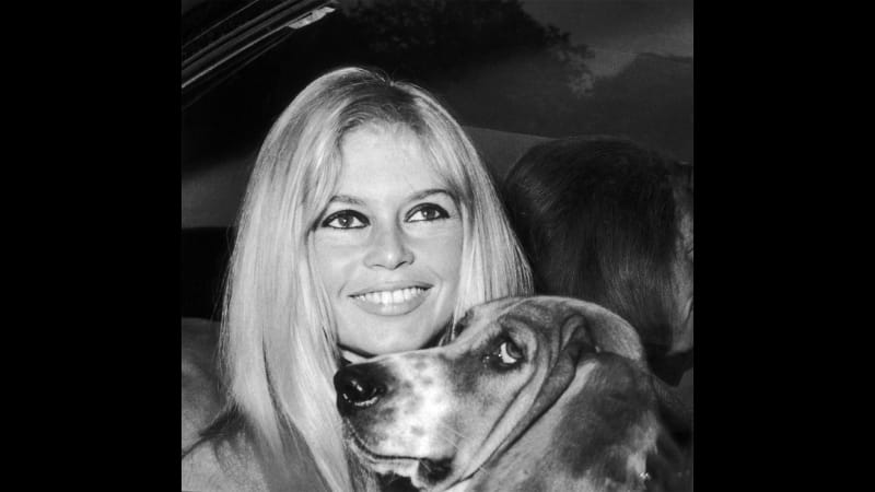 Brigitte Bardot: How a Hollywood Icon Transformed Animal Rights Activism