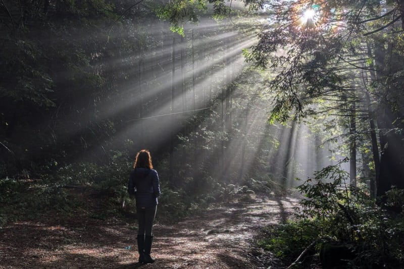 Beyond the Horizon: 15 Game-Changing Forces That Could Transform Conservation