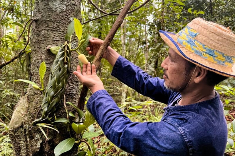 Navigating Change: Southeast Asian Farmers Face New EU Environmental Regulations